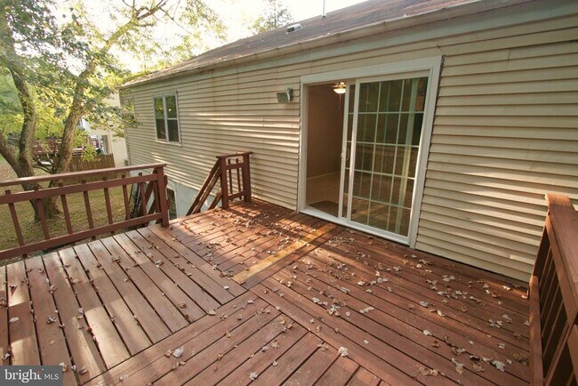 Building Photo - 311 Beech St