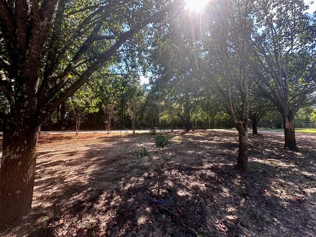 Building Photo - 495 County Road 2418