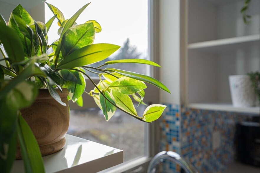 Building Photo - 2214 E Terrace St