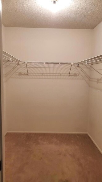 Building Photo - 1311 Alfonso Cir