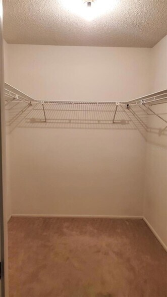 Building Photo - 1311 Alfonzo Cir