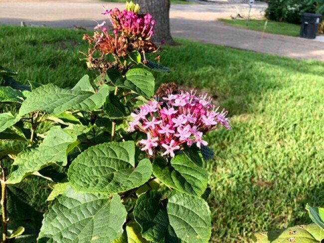 Building Photo - Iconic.... Capital Heights Cottage