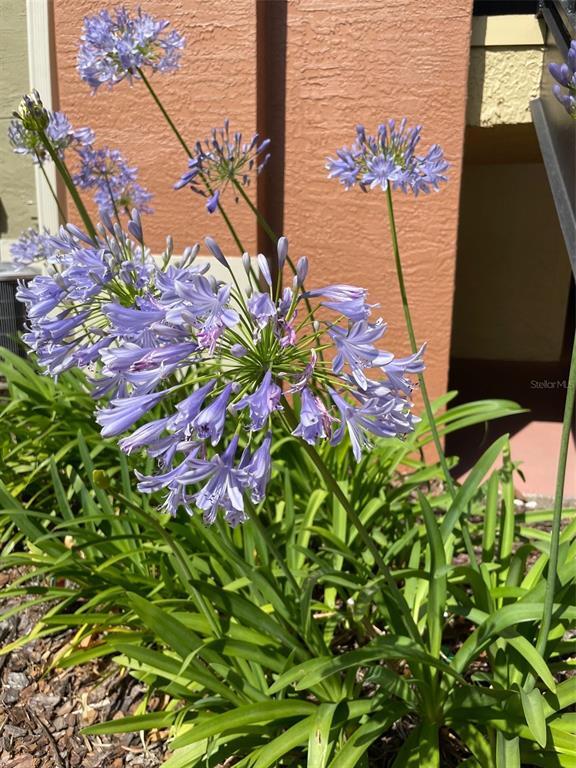 Building Photo - 1909 Summer Club Dr