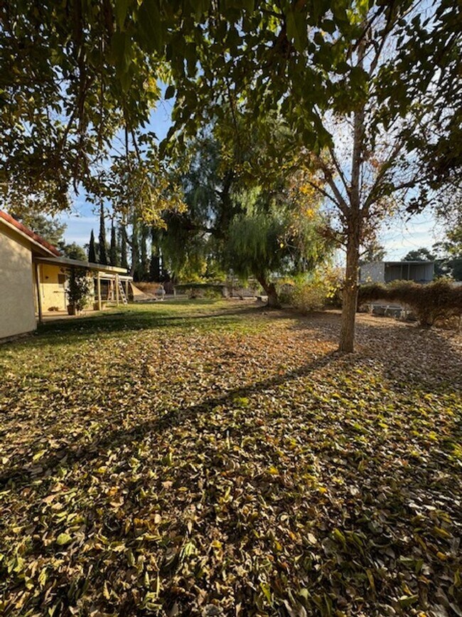 Building Photo - Beautiful Home in the Heart of Hemet