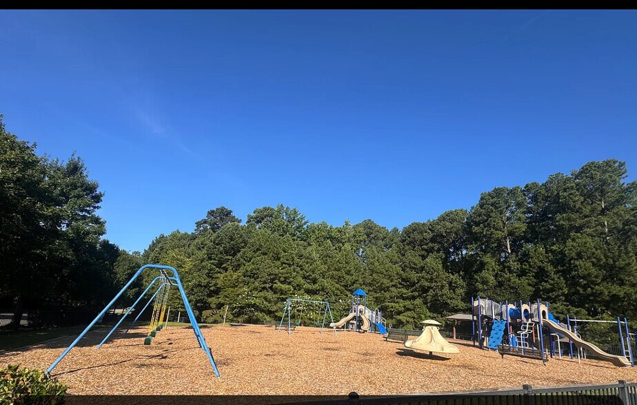 Playground - 144 Swan Quarter Dr