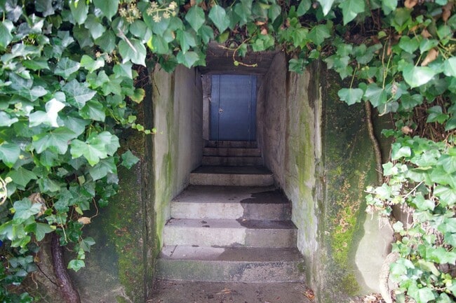 Building Photo - Charming & Unique John's Landing Studio: Close to Shops & Restaurants!