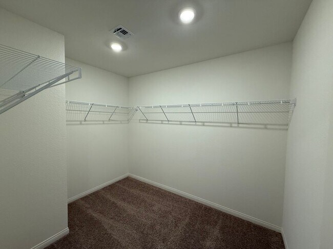 Building Photo - 3609 Canico Ln