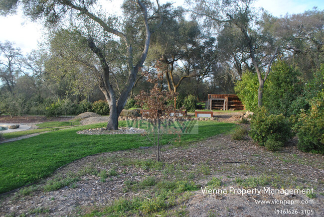 Building Photo - 7457 Shadow Oaks Ln