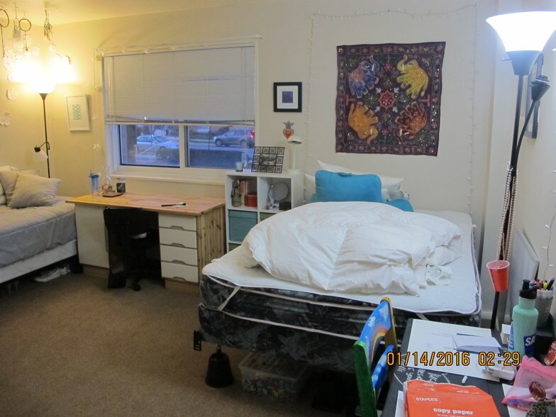 Large Bedroom - 4313 Knox Rd