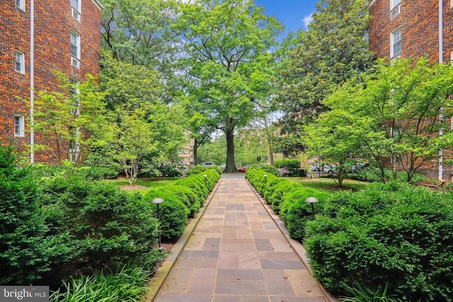 Walkway - 3051 Idaho Ave NW