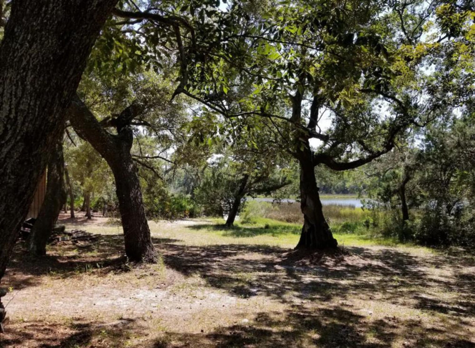 Building Photo - 11520 Council Ln