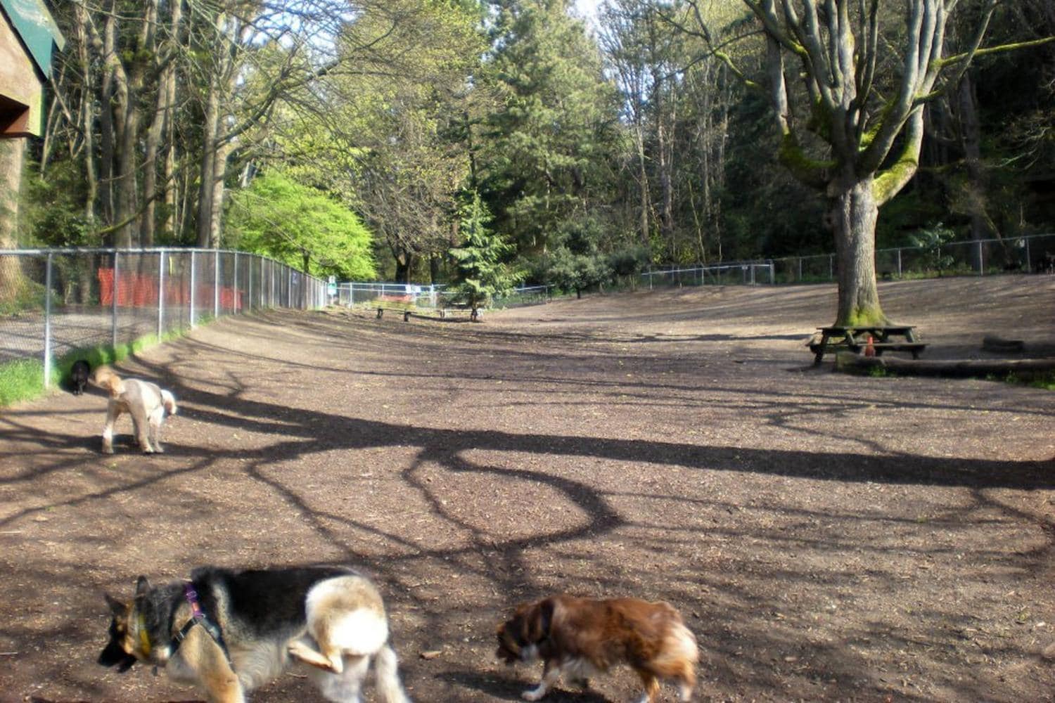 Building Photo - 3123 NW 87th St