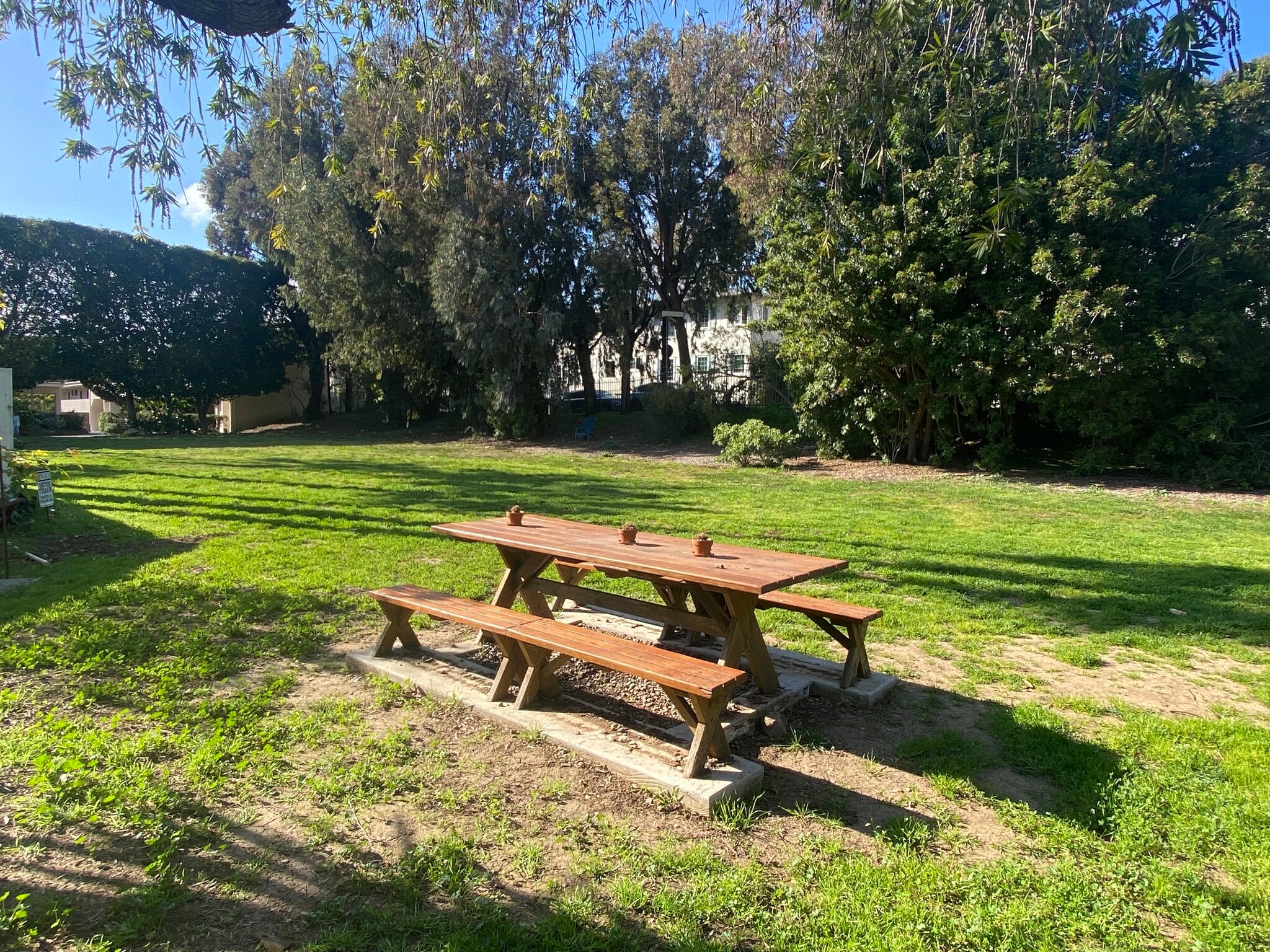 Park area picnic table - 241 S Barrington Ave