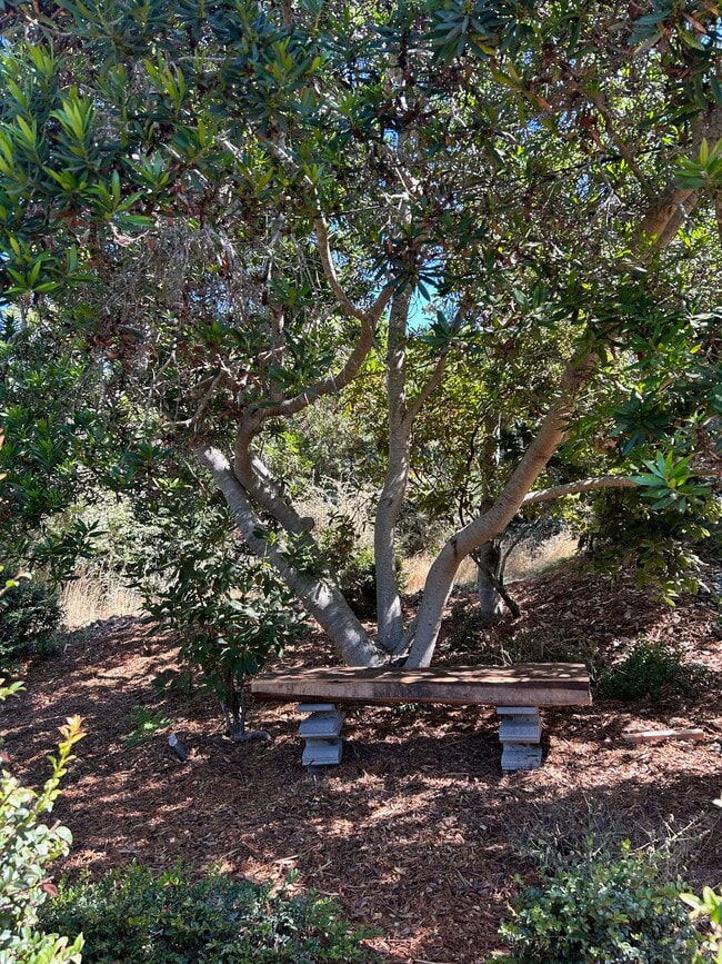 Garden Area - 16575 Franklin Rd