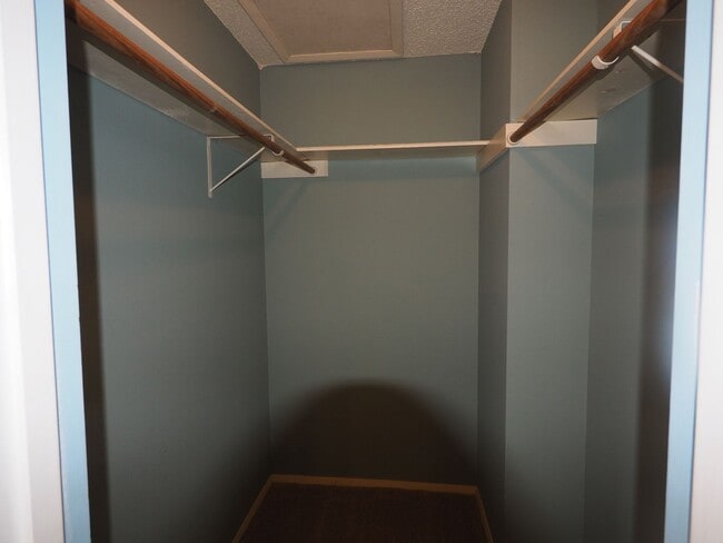 Building Photo - Amazing Austin condo!