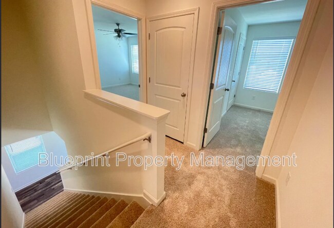 Building Photo - 229 Chelsea Pk Cir