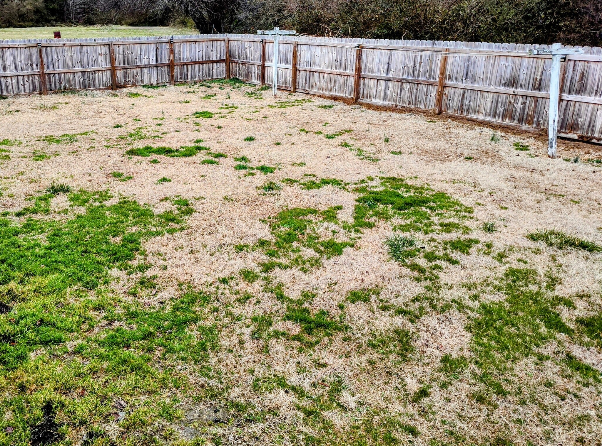 Building Photo - 31101 Greta Rd