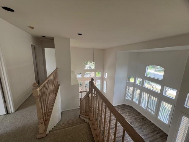 Building Photo - 1137 Avenida Sobrina