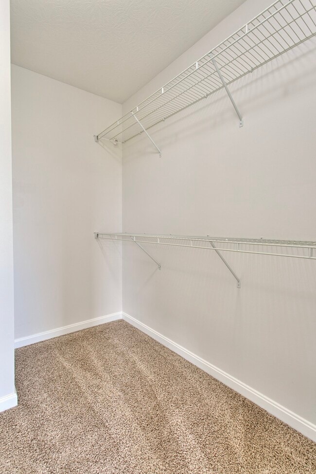 Building Photo - 3001 Rio Brazos Dr