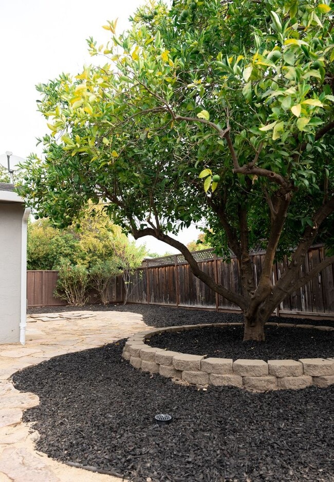 Building Photo - Wow! What a Great Home! Available Now!