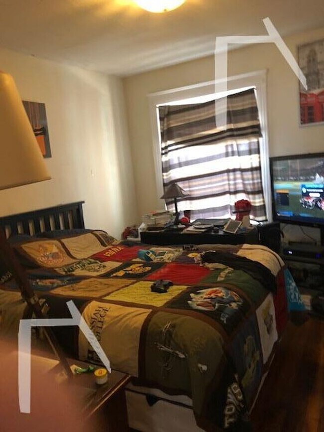 Building Photo - No Fee!  Gorgeous Comm Ave Apt by T!  Modern Appliances.  Cat & Small Dog OK