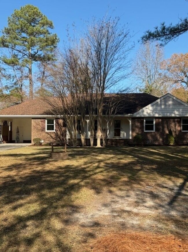 Building Photo - 3 Bedroom/2 Bathroom - Close to SJAFB, Shopping, Restaurants!