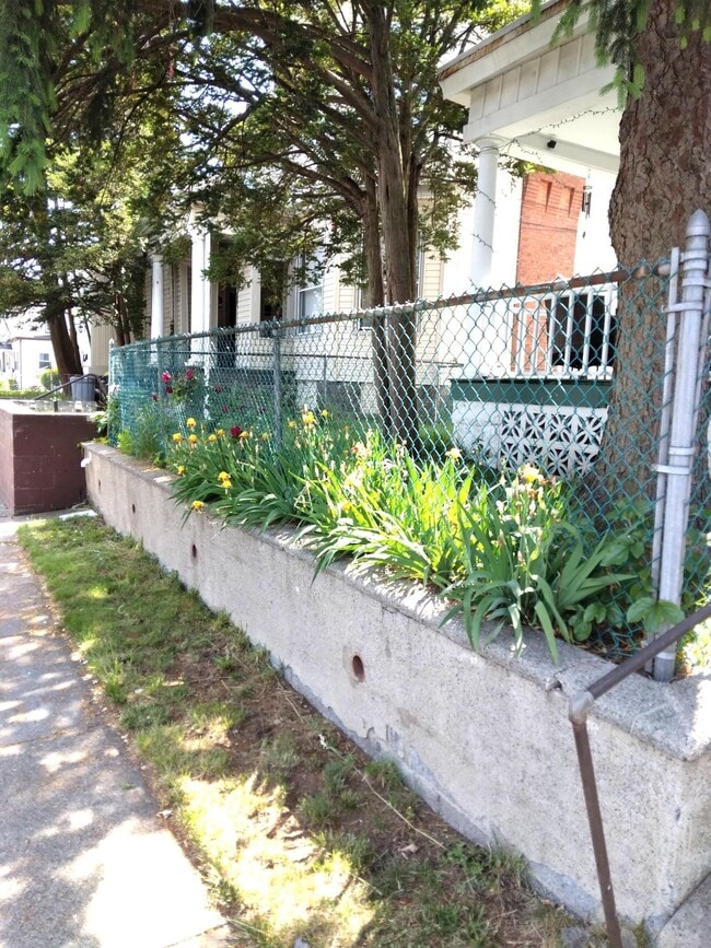 Building Photo - 572 E 25th St