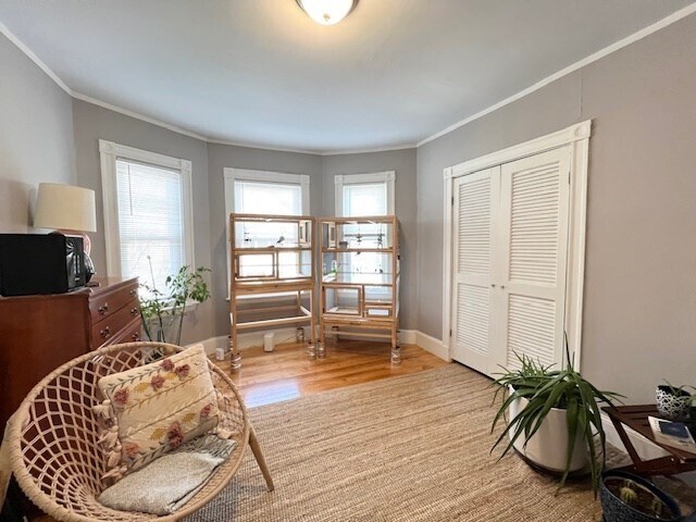 Primary Photo - 34 Rich St