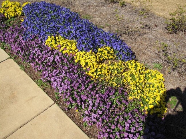 Building Photo - 462 Spring View Dr