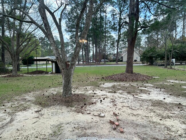 Back yard - 364 Elizabeth Cir