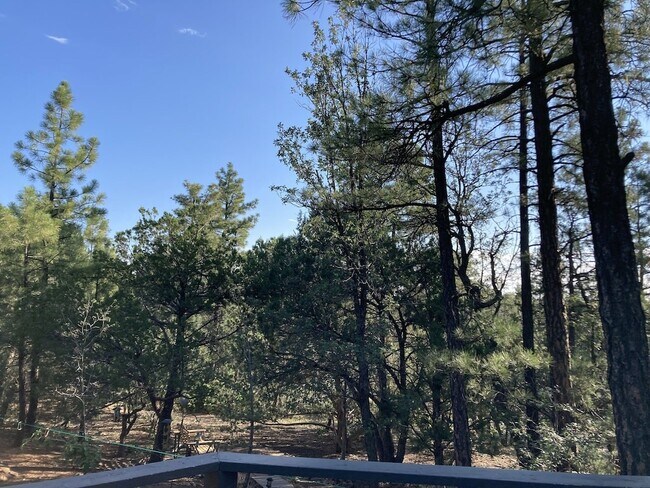 Building Photo - 3239 Pine Needle Dr