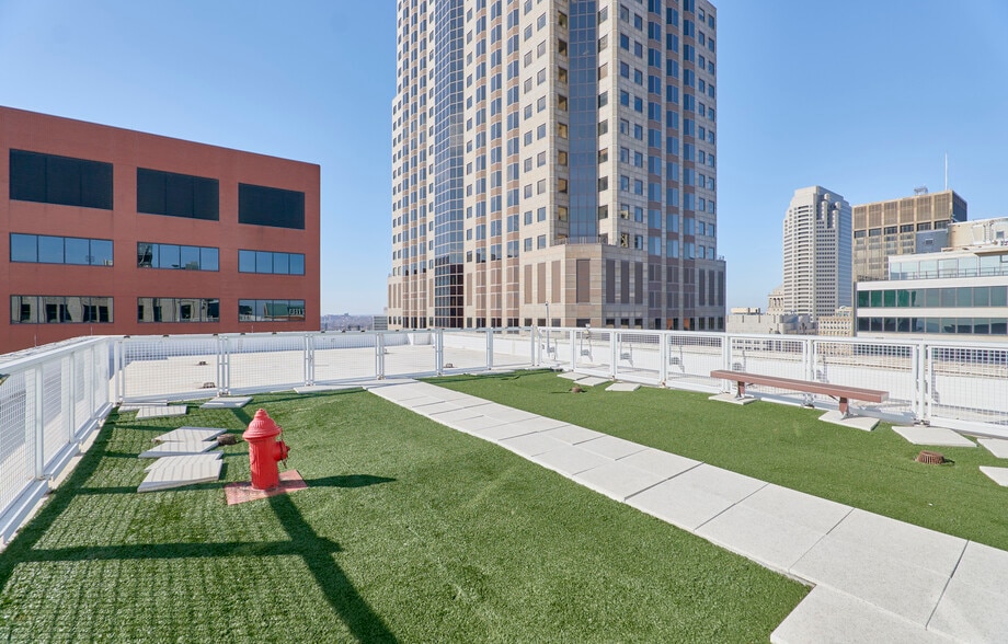 Rooftop Dog area - 314 N Broadway