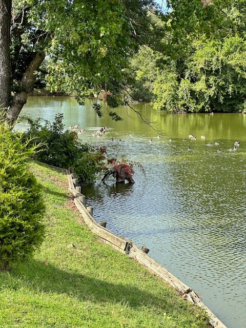 Building Photo - 215 Blackwell Rd