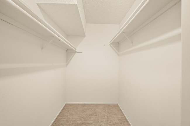 Building Photo - Upgraded Condo with Two Master Suites!!!