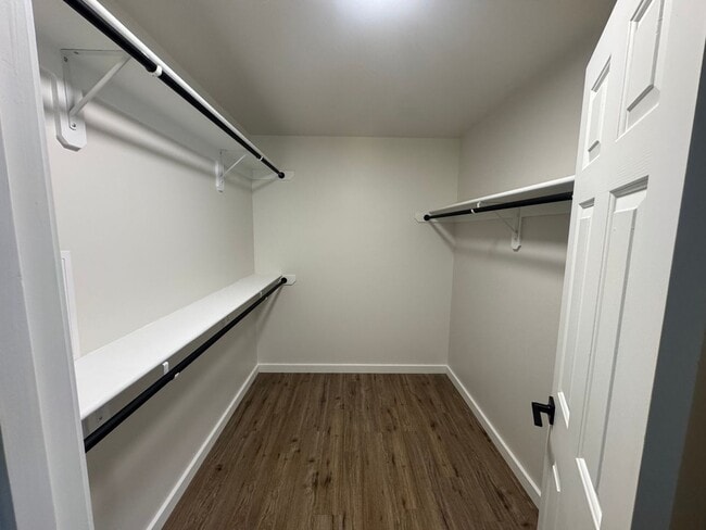 Building Photo - 4308 Shadowmoss Ct