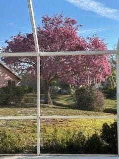 Building Photo - 4527 Hamlets Grv Dr