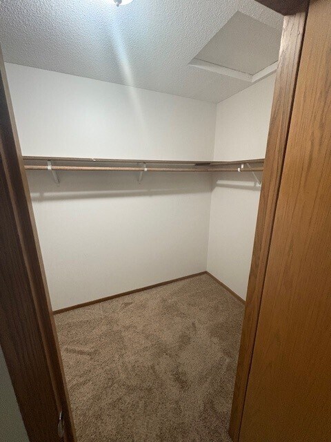 Walk in closet in master - 3700 Westmark Cir