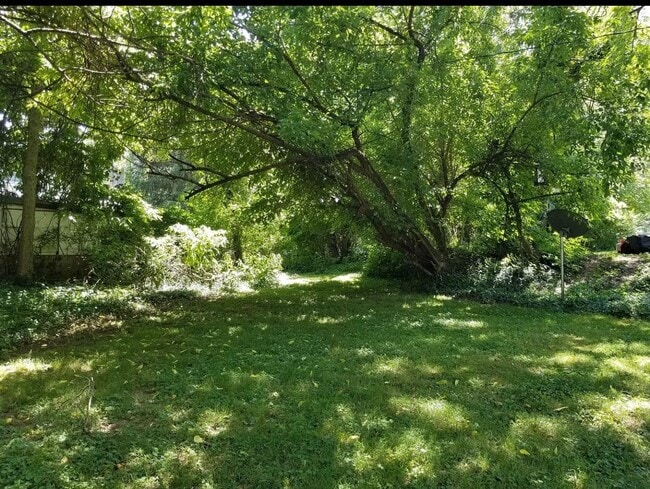Building Photo - 4BR 2BA - Walk to campus!
