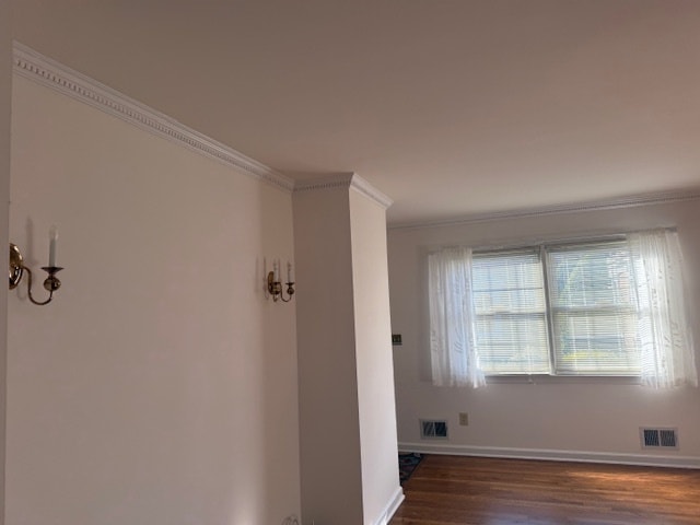 Sunlight filled living room - 224 Prospect St
