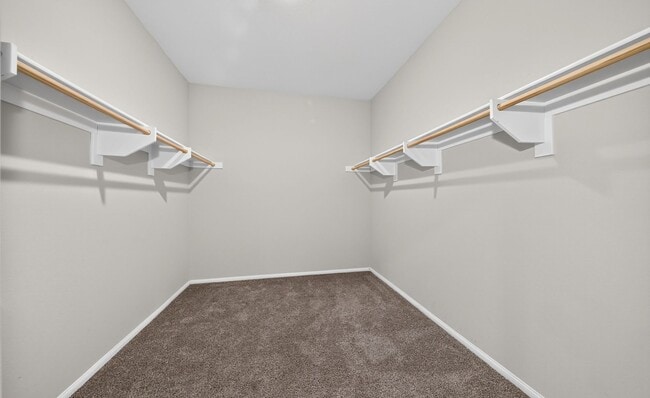 Building Photo - 1037 Yuzu Wy