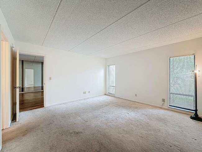 Building Photo - 1200 Tarpon Woods Blvd