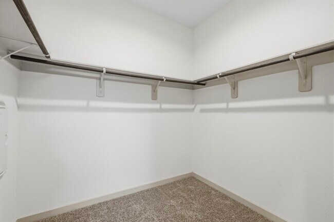 Building Photo - 12515 Newport Arch Ln
