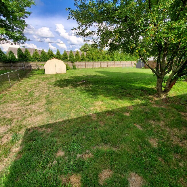 Back yard/shed - 16420 Willow Ridge Trail