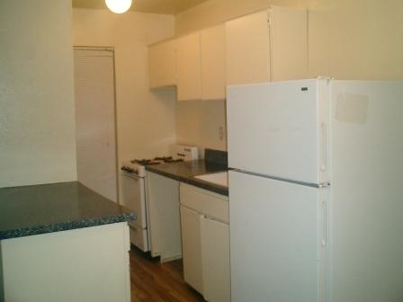 Kitchen - Knight Street Apartments