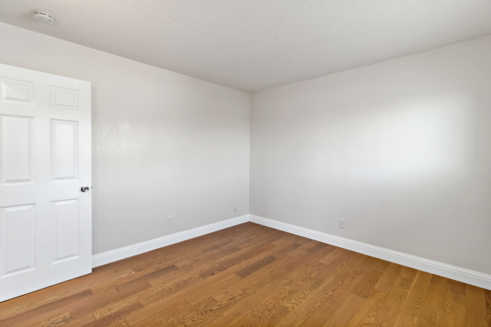 Building Photo - 1141 15th St