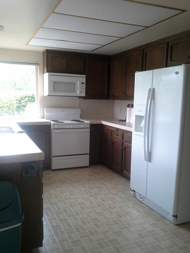 Building Photo - Classic 4Br/2Ba Single Level Home in Ranch...