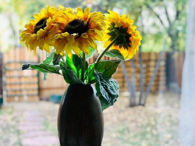 Building Photo - 114 Upper Ranchitos Rd