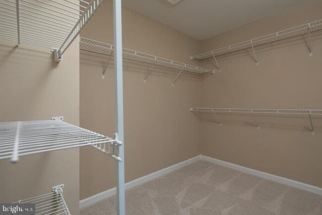 Building Photo - 22051 Chelsy Paige Square