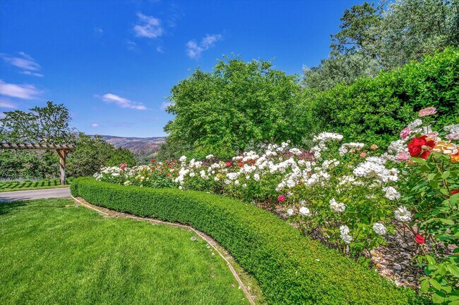 Building Photo - Welcome to Your Luxurious Napa Valley Retr...