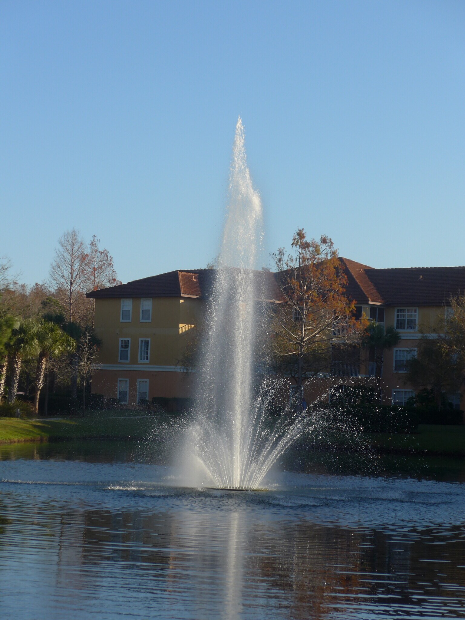 Building Photo - 5451 Vineland Rd